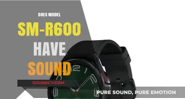 Samsung Gear Sport SM-R600: Sound or Silence?