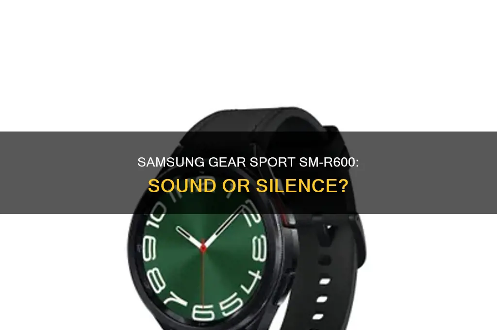 does model sm-r600 have sound