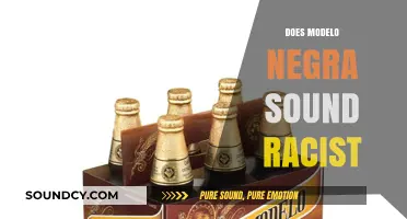 Modelo Negra: Analyzing Cultural Sensitivity and Racial Implications in Branding