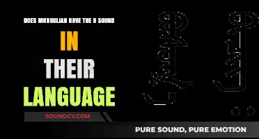 Exploring Mongolian Phonetics: Does the Language Include the 'H' Sound?