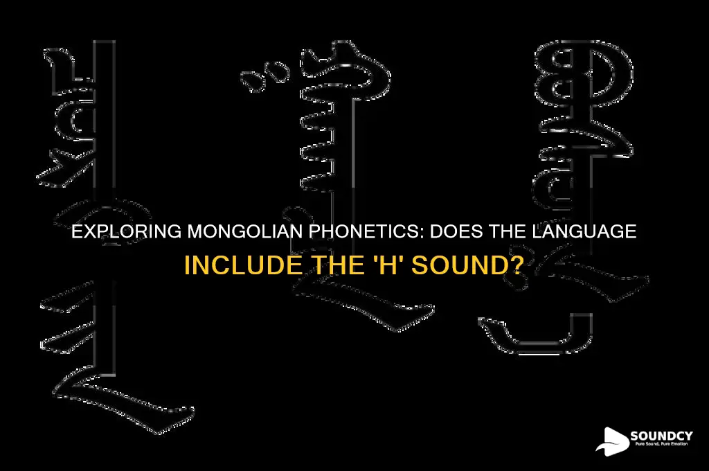 does mongolian have the h sound in their language