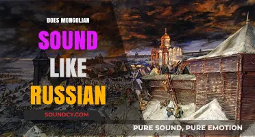 Does Mongolian Sound Like Russian? Exploring Linguistic Similarities and Differences
