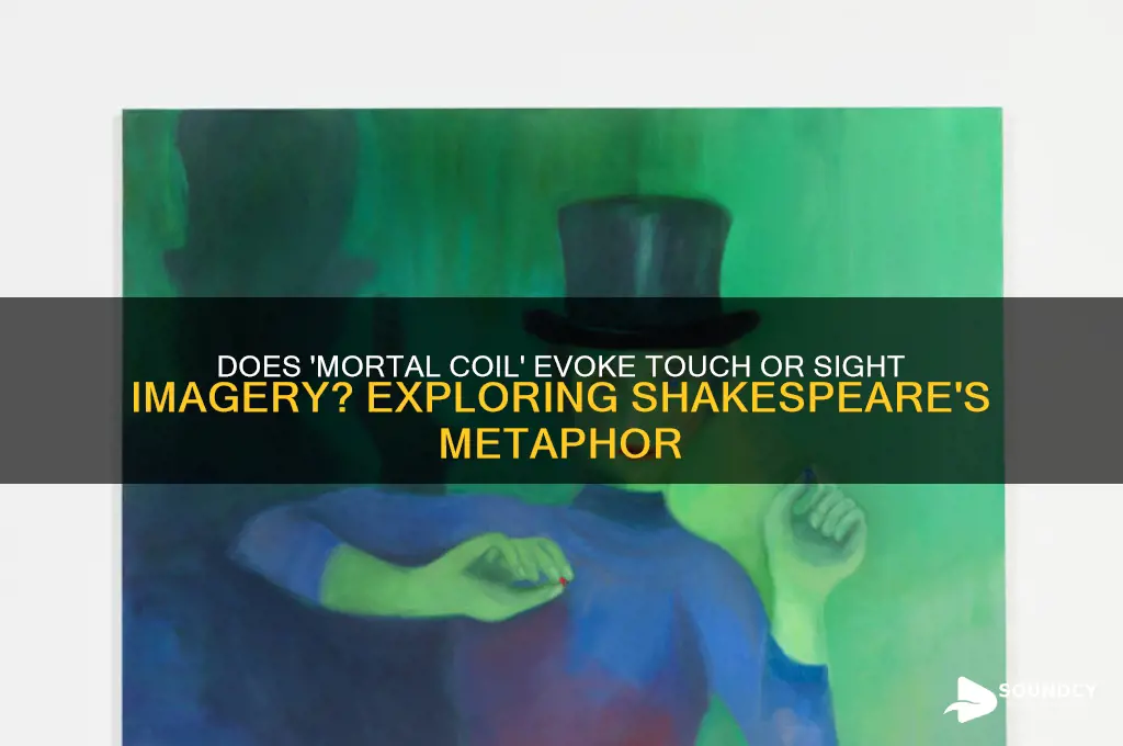 does mortal coil sound like touch or sight imageryy