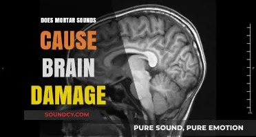 Mortar Sounds: Brain Damage or Just a Headache?