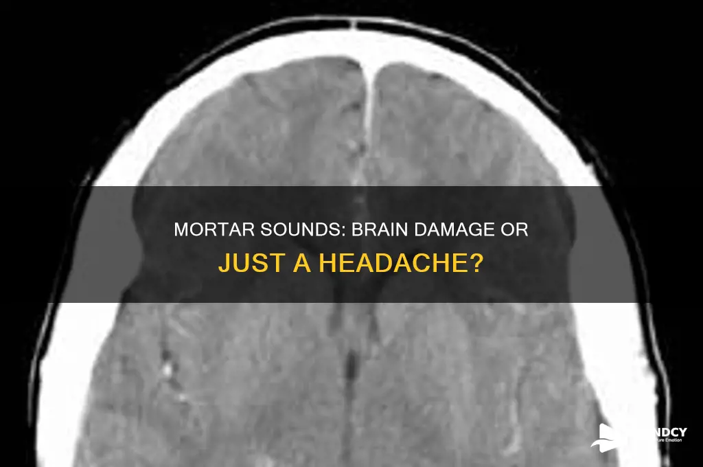 does mortar sounds cause brain damage