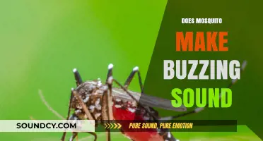 Why Mosquitoes Buzz: Unraveling the Science Behind Their Annoying Sound