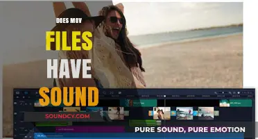 Do MOV Files Include Audio? Understanding Sound in QuickTime Videos