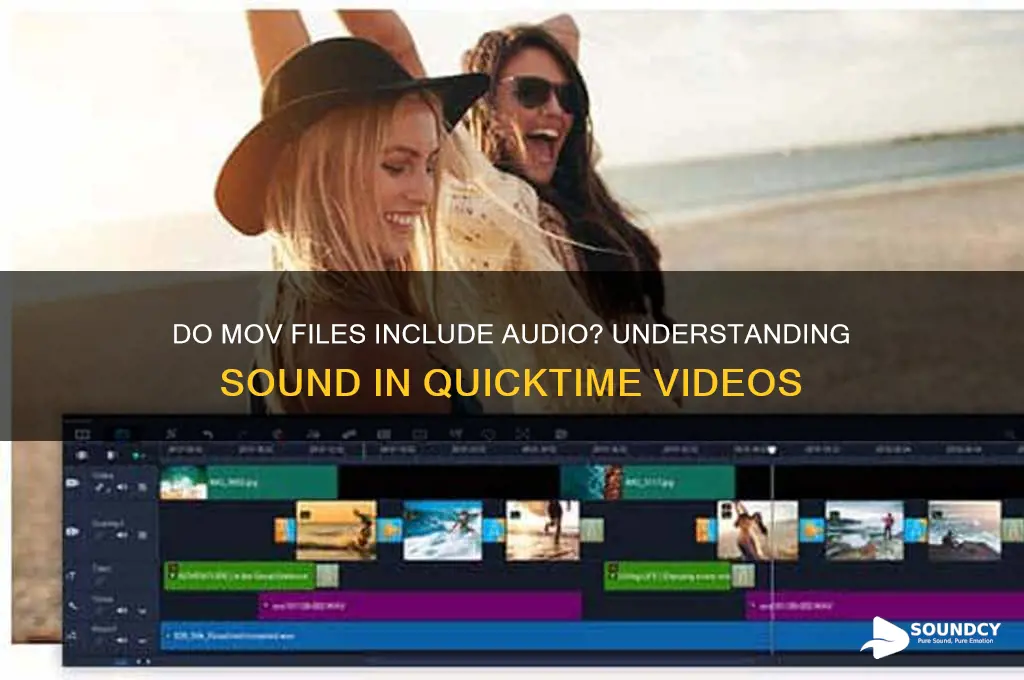 does mov files have sound