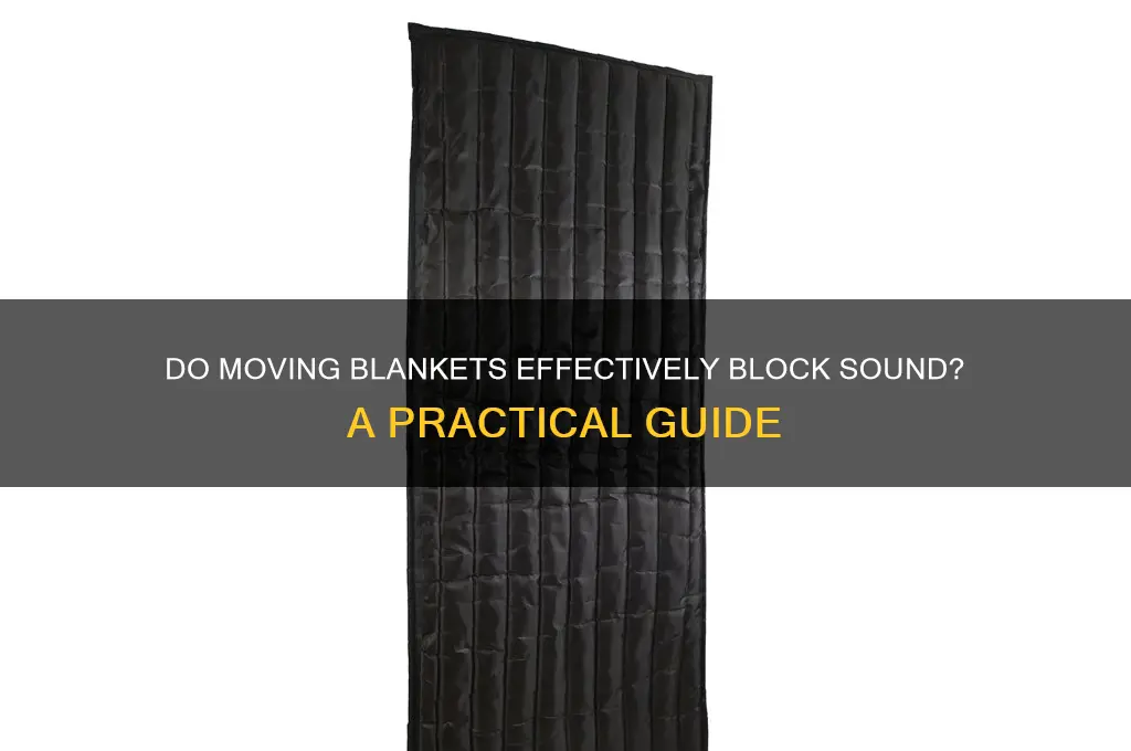 does moving blankets block sound