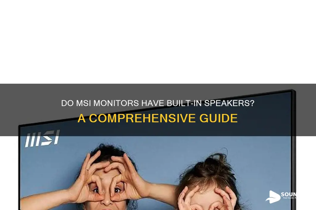does msi monitor have sound