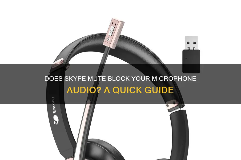 does mute on skype block sound from my side