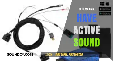 BMW Active Sound: Fact or Fiction?