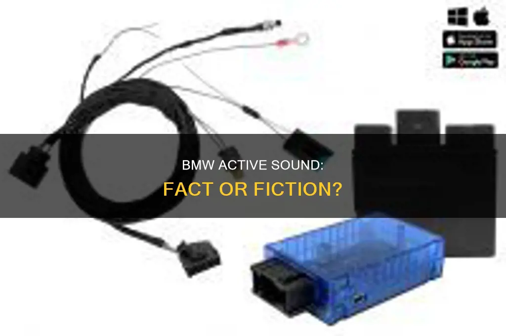 does my bmw have active sound