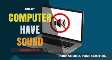 Does My Computer Have Sound? Troubleshooting Audio Issues on Your PC