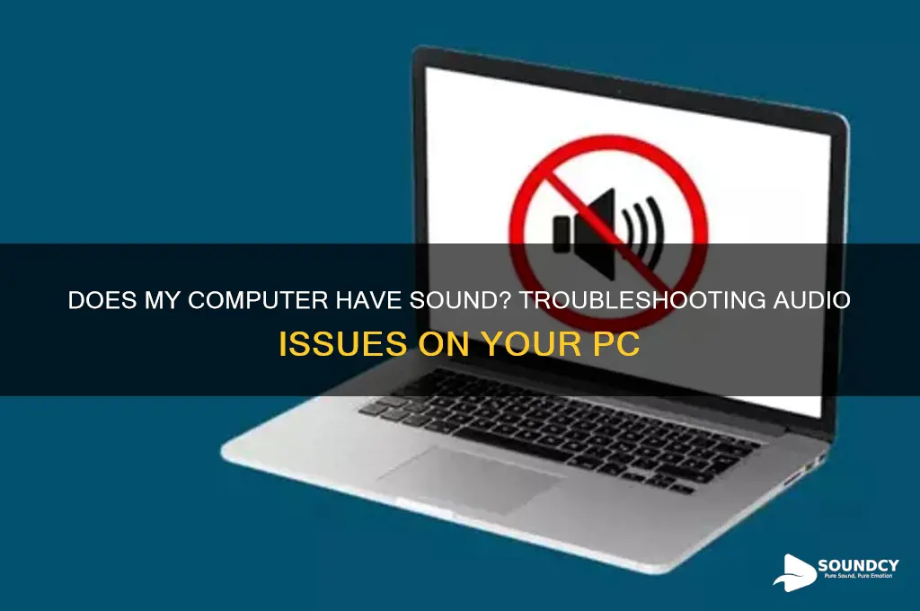 does my computer have sound