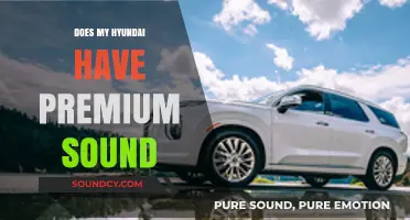 Hyundai's Premium Sound: A Standard Feature?