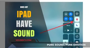 Does My iPad Have Sound? Troubleshooting Audio Issues on Your Device