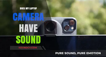 Laptop Camera: Can It Record Audio?