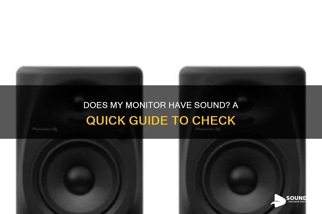 does my monitor have sound