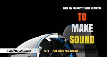 Prophet 12 Sound Output: Do You Need External Speakers?