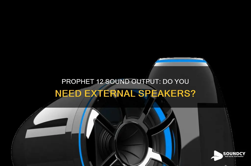 does my prophet 12 need speakers to make sound