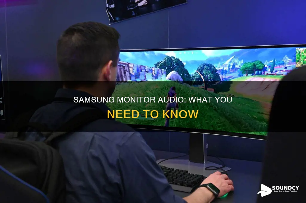 does my samsung monitor have sound