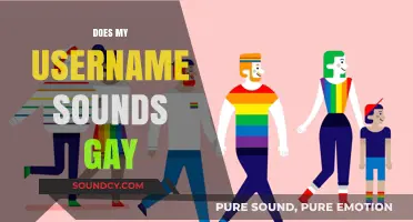 Does My Username Sound Gay? Exploring Identity and Online Perception