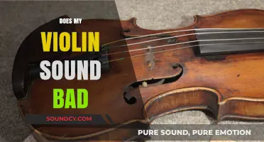 Why Your Violin Sounds Bad: Common Issues and How to Fix Them