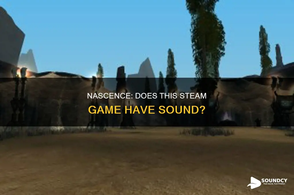 does naissance steam game have sound