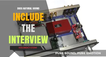 Natural Sound: Interview's Audio Signature