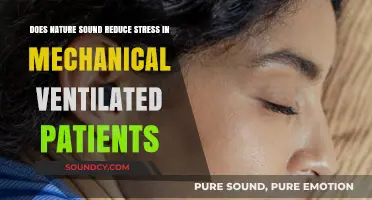 Nature Sounds: Easing Stress in Mechanically Ventilated Patients?