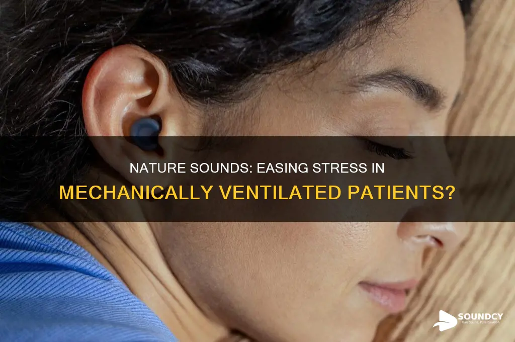 does nature sound reduce stress in mechanical ventilated patients