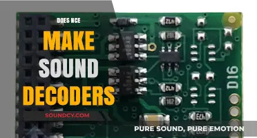 Does NCE Produce Sound Decoders for Model Trains?