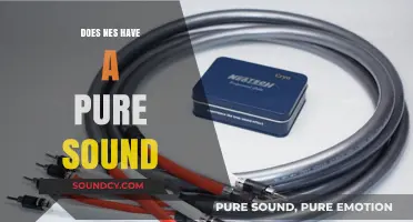 NES Audio: Pure, Raw, and Unfiltered