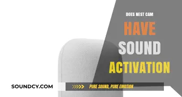 Nest Cam: Sound Activation Explained