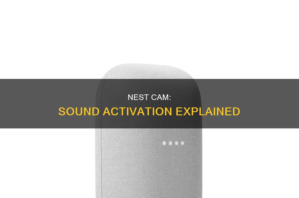 does nest cam have sound activation