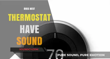 Does Nest Thermostat Have Sound? Exploring Its Audio Features
