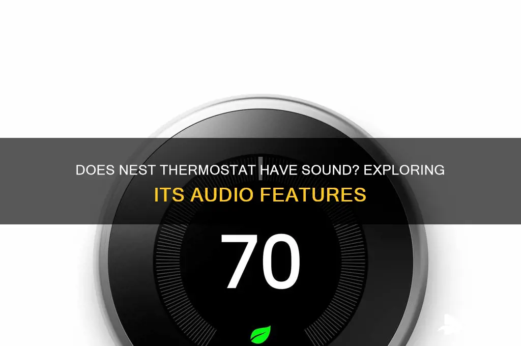 does nest thermostat have sound
