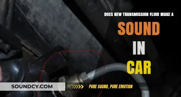 Can Fresh Transmission Fluid Cause Unusual Noises in Your Vehicle?