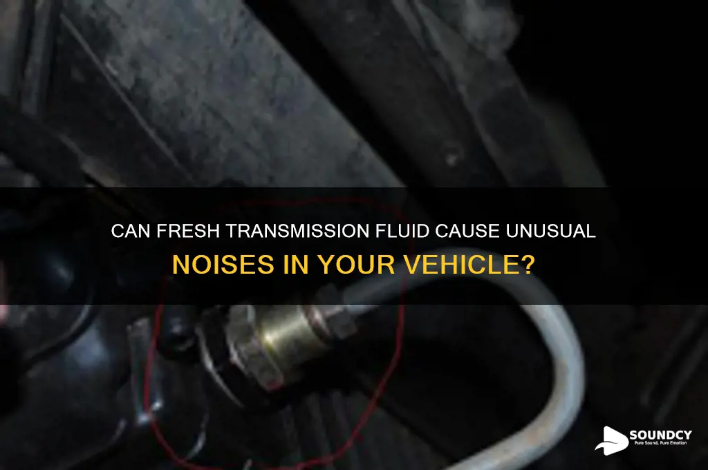 does new transmission fluid make a sound in car