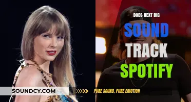 How Spotify Predicts the Next Big Sound