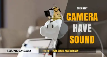 Does the Next Camera Capture Sound? Exploring Audio Features in New Models