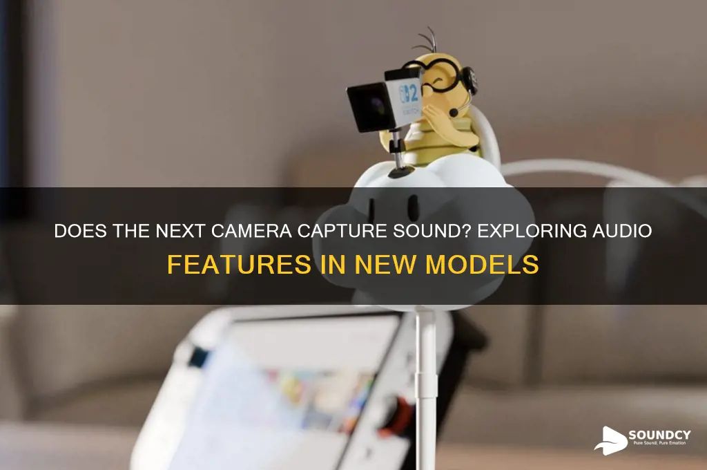 does next camera have sound