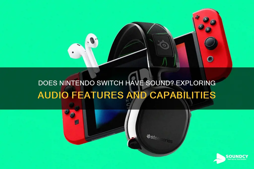does nintendo switch have sound