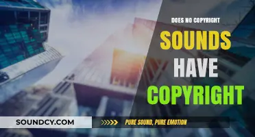 No Copyright Sounds: Who Owns the Rights?