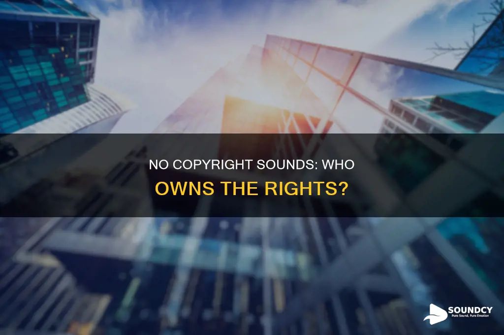 does no copyright sounds have copyright