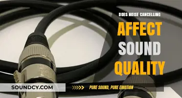 Noise Cancelling: Sound Quality Enhancer or Diminisher?