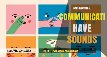 Unspoken Yet Heard: Exploring the Sonic Side of Nonverbal Communication