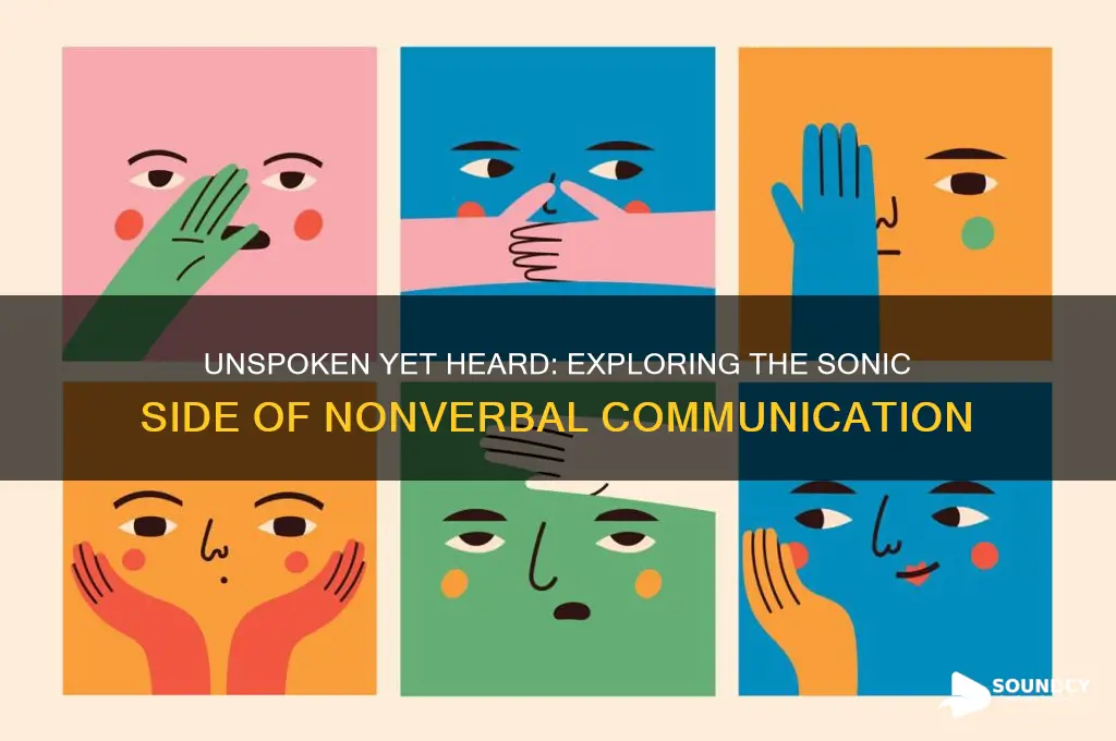 does nonverbal communication have sounds