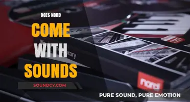 Does Nord Include Sounds? Exploring Its Audio Capabilities and Features